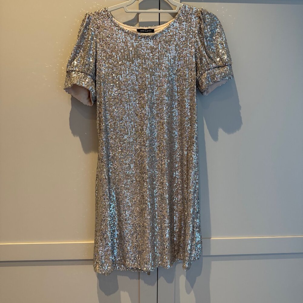 Cable and Gage holiday dress, silver sequence